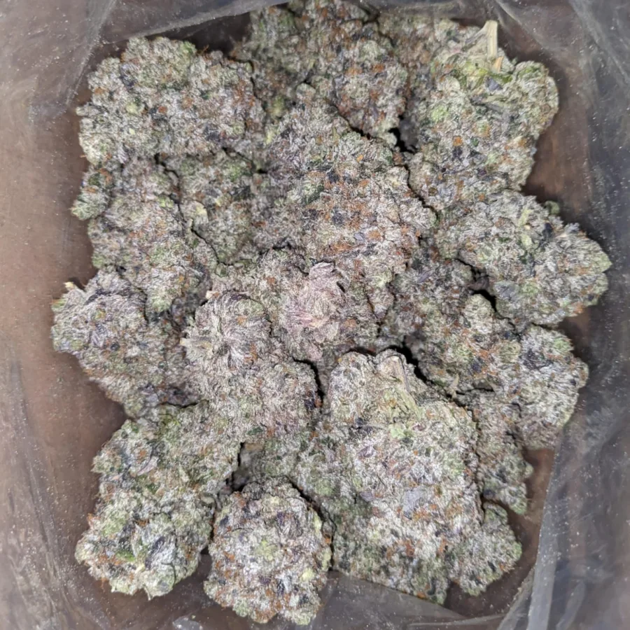 Platinum Pink - Image 5
