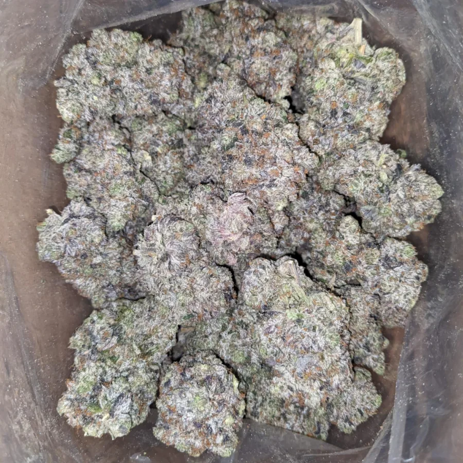 Platinum Pink - Image 4