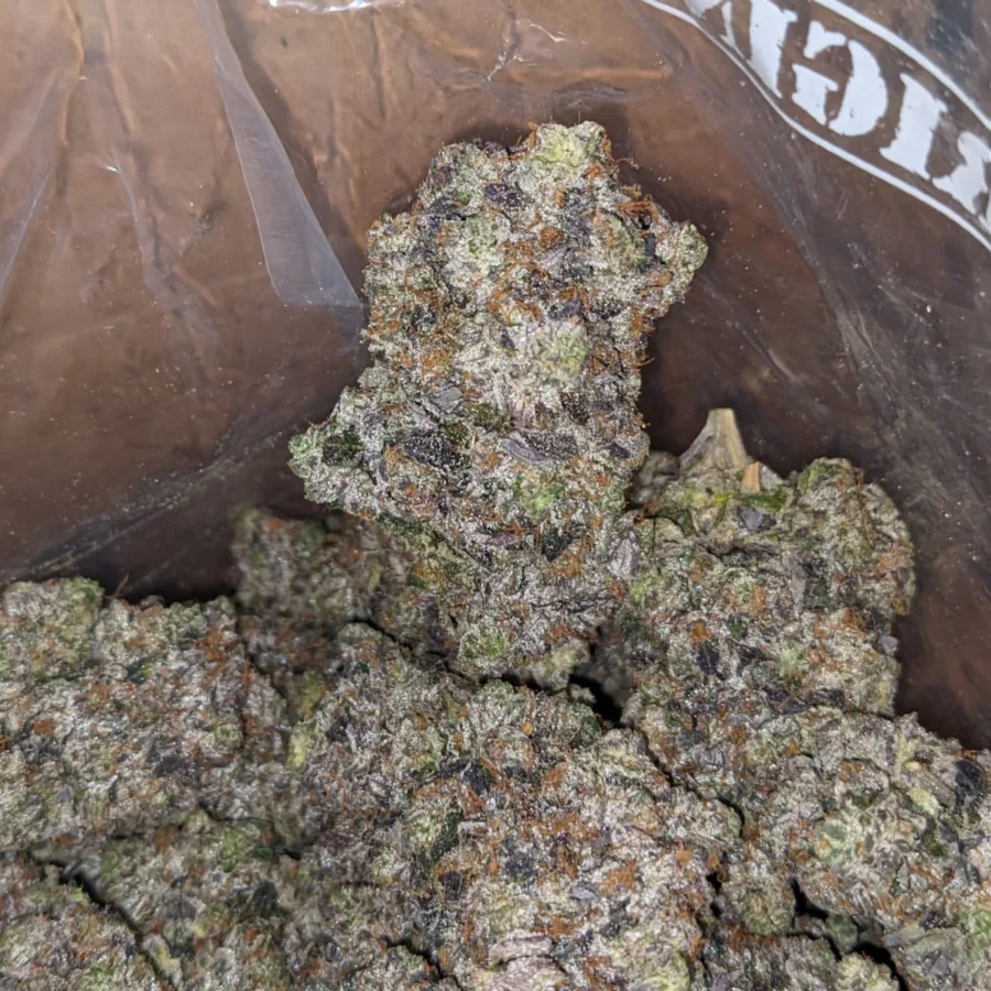 Platinum Pink - Image 7