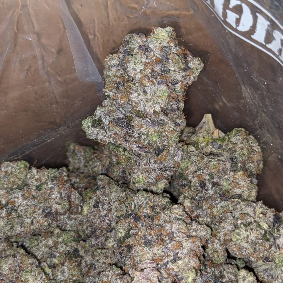 Platinum Pink - Image 6