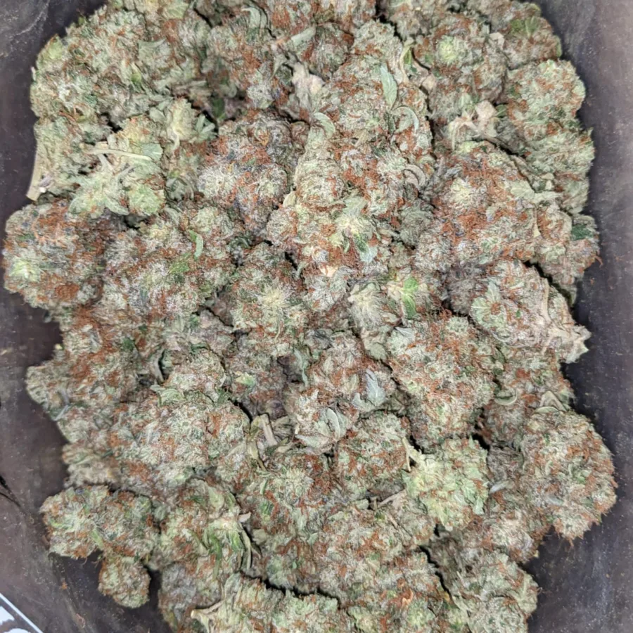 Pre 98 Bubba - Image 5