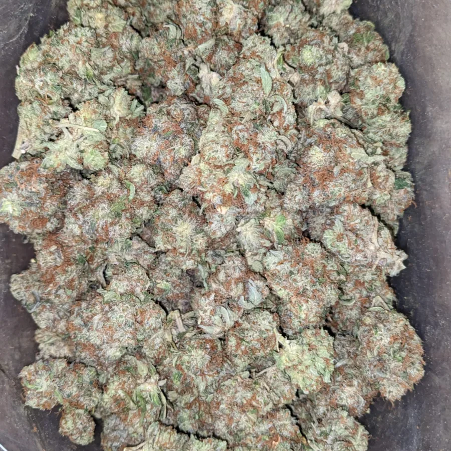 Pre 98 Bubba