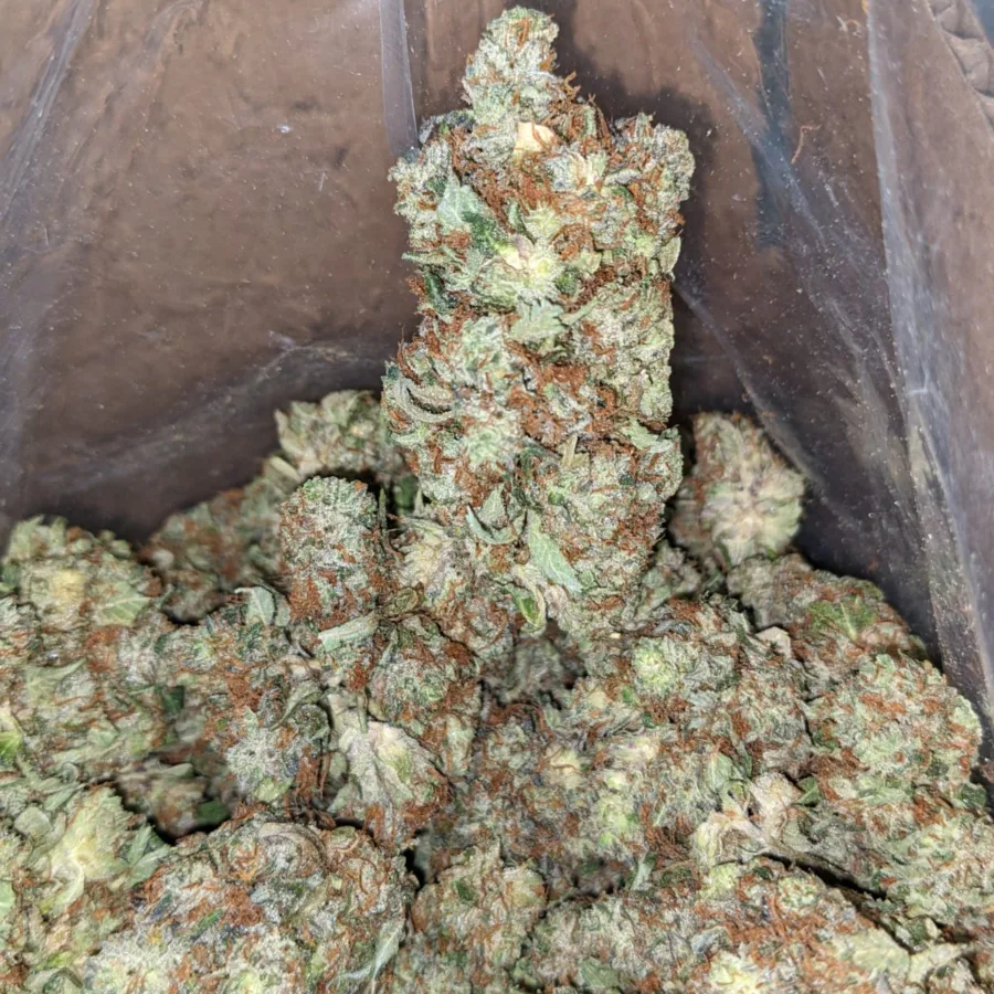Pre 98 Bubba - Image 3