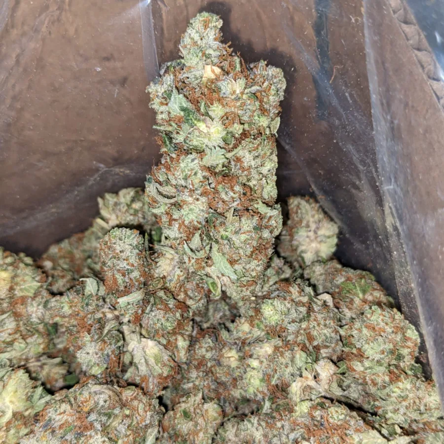 Alternative view of Pre 98 Bubba