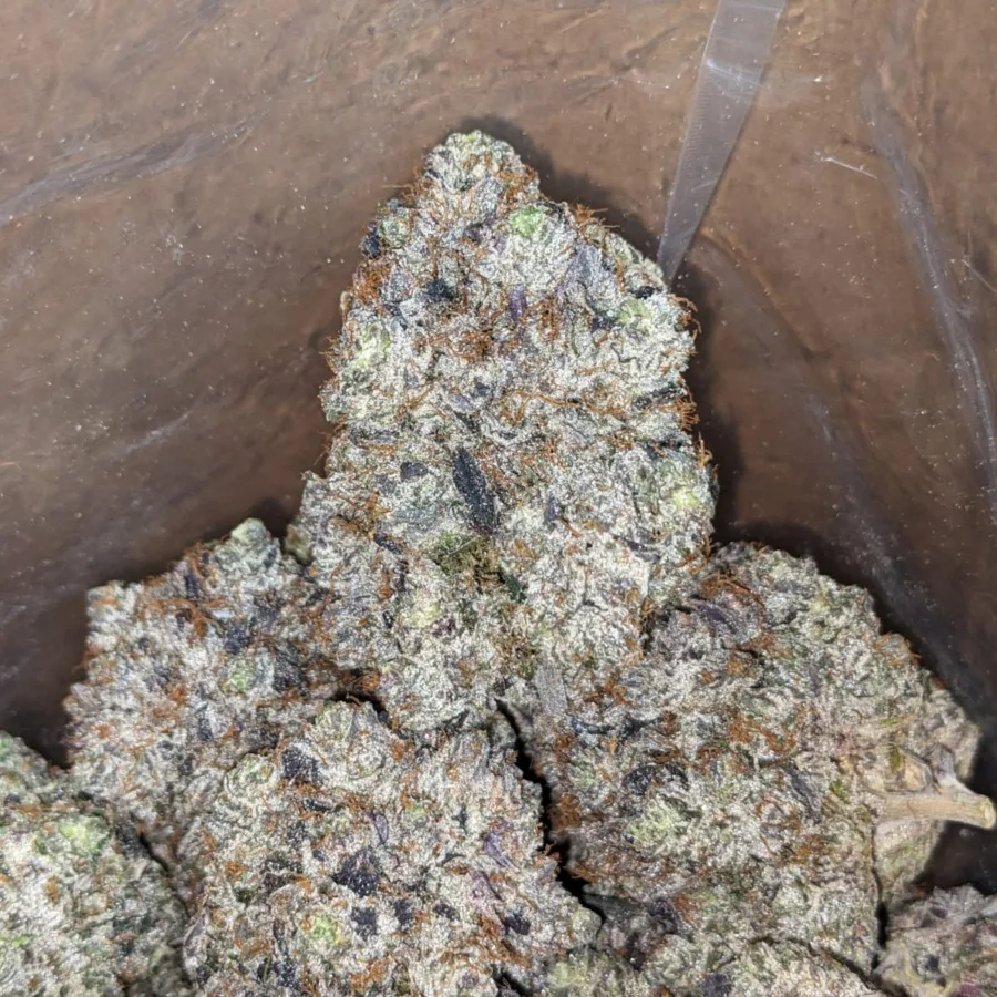 Purple Rockstar - Image 3
