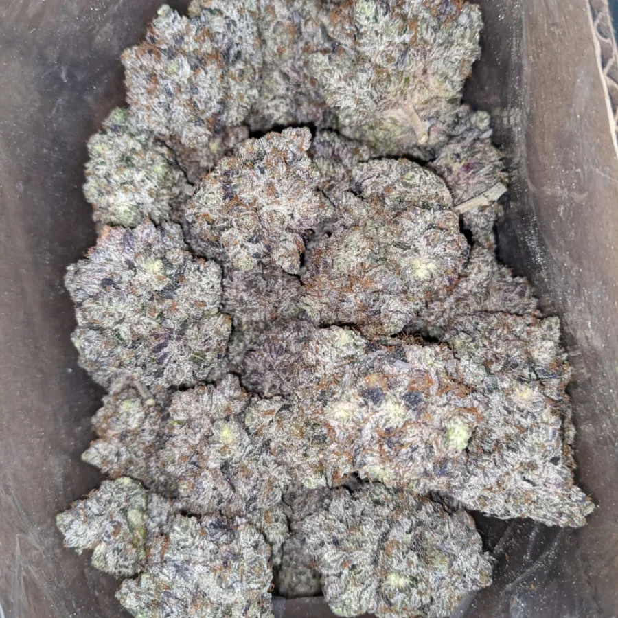 Purple Rockstar