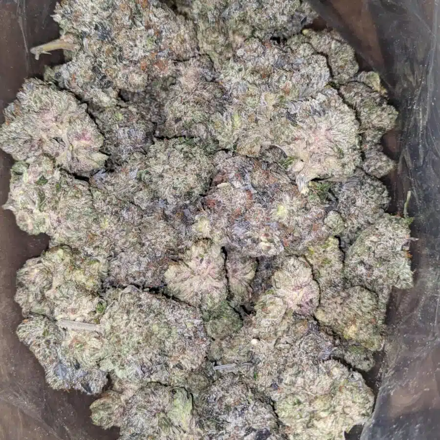 Pussy Pink