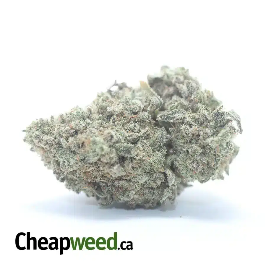 Romulan