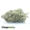 Sour Angel