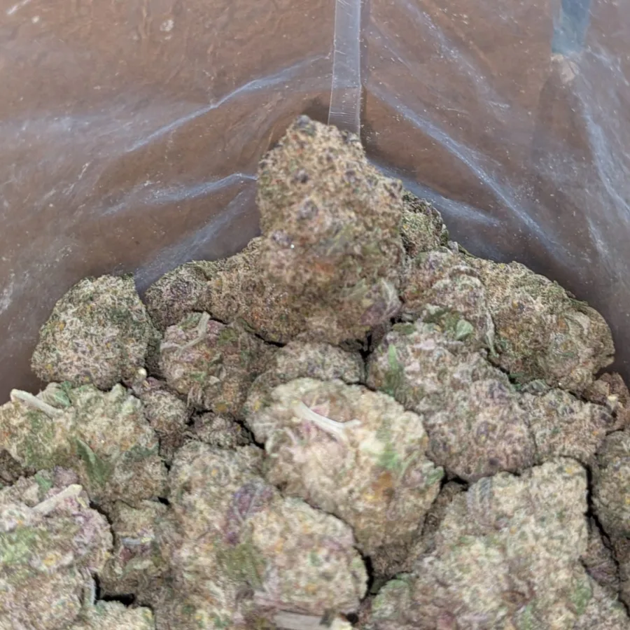 Space Runtz - Image 6
