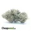 Tony's Death Bubba