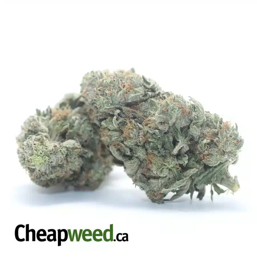 Alternative view of Tony's Death Bubba