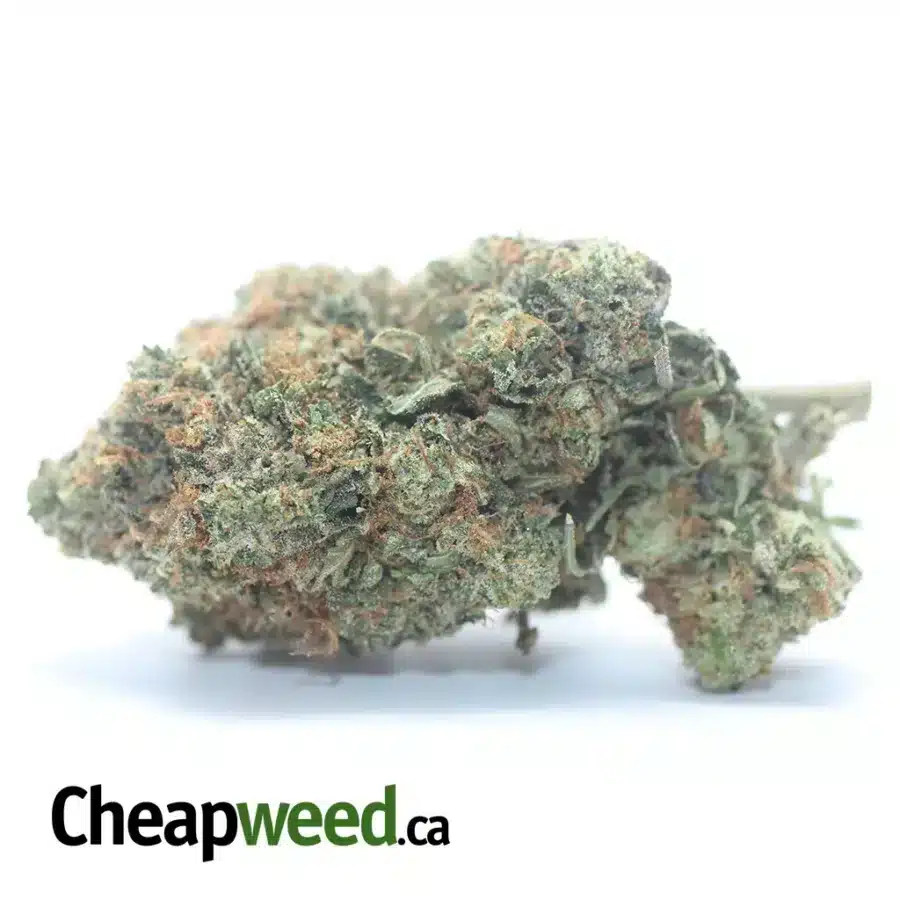 Tony's Pink Kush