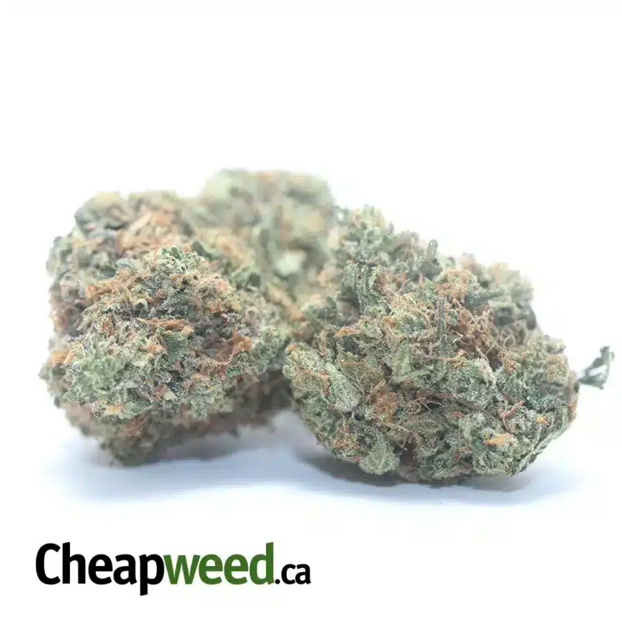 Alternative view of Tony's Pink Kush
