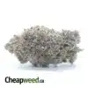 Tuna Kush AAA