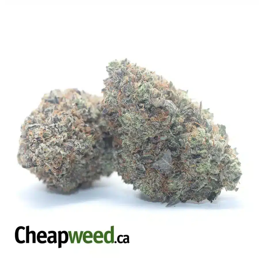 TUNA KUSH AAA 3 I Tuna Kush AAA