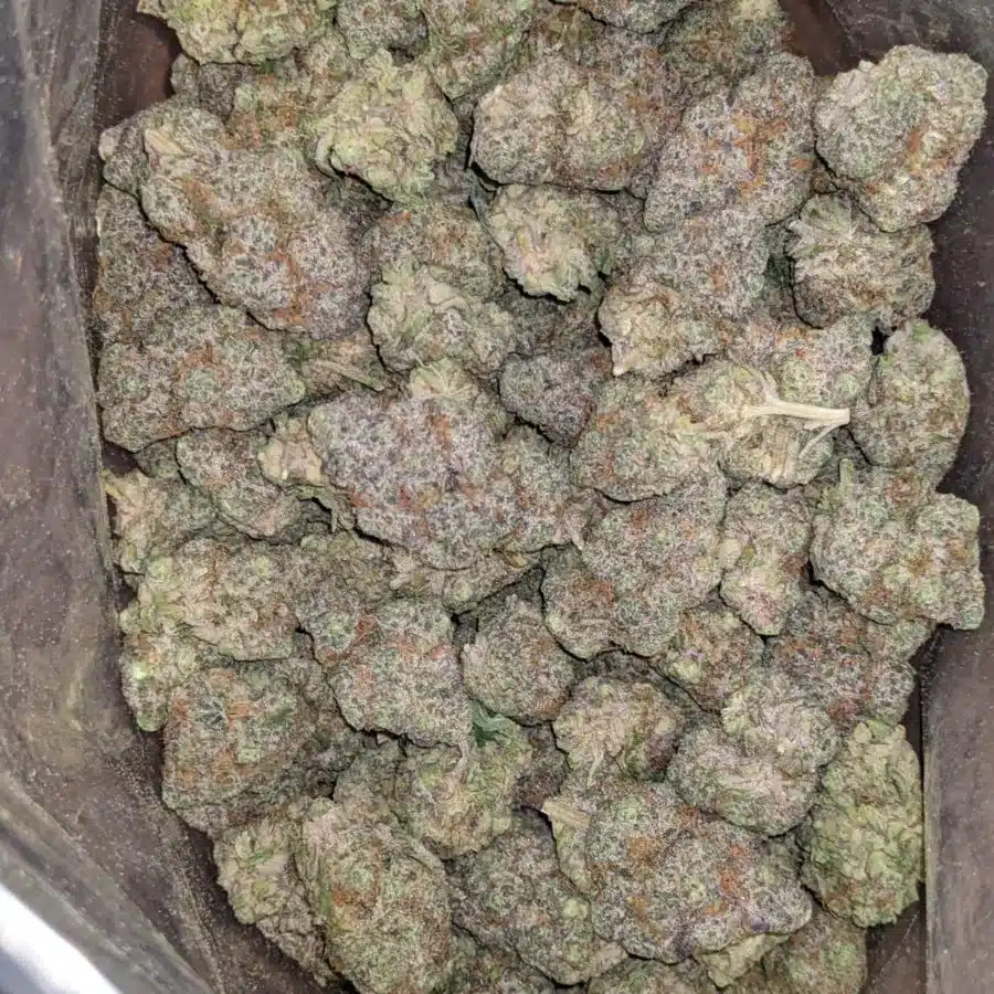 Triple berry 1 I Triple Berry