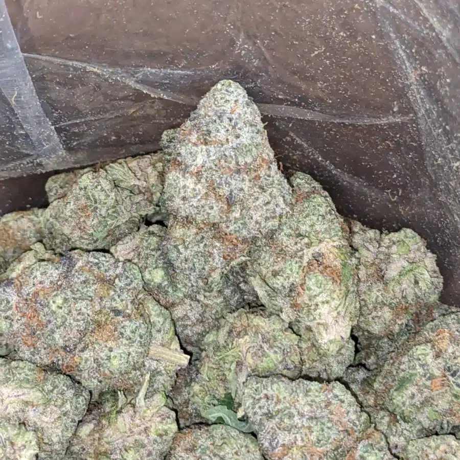 Triple berry 2 I Triple Berry
