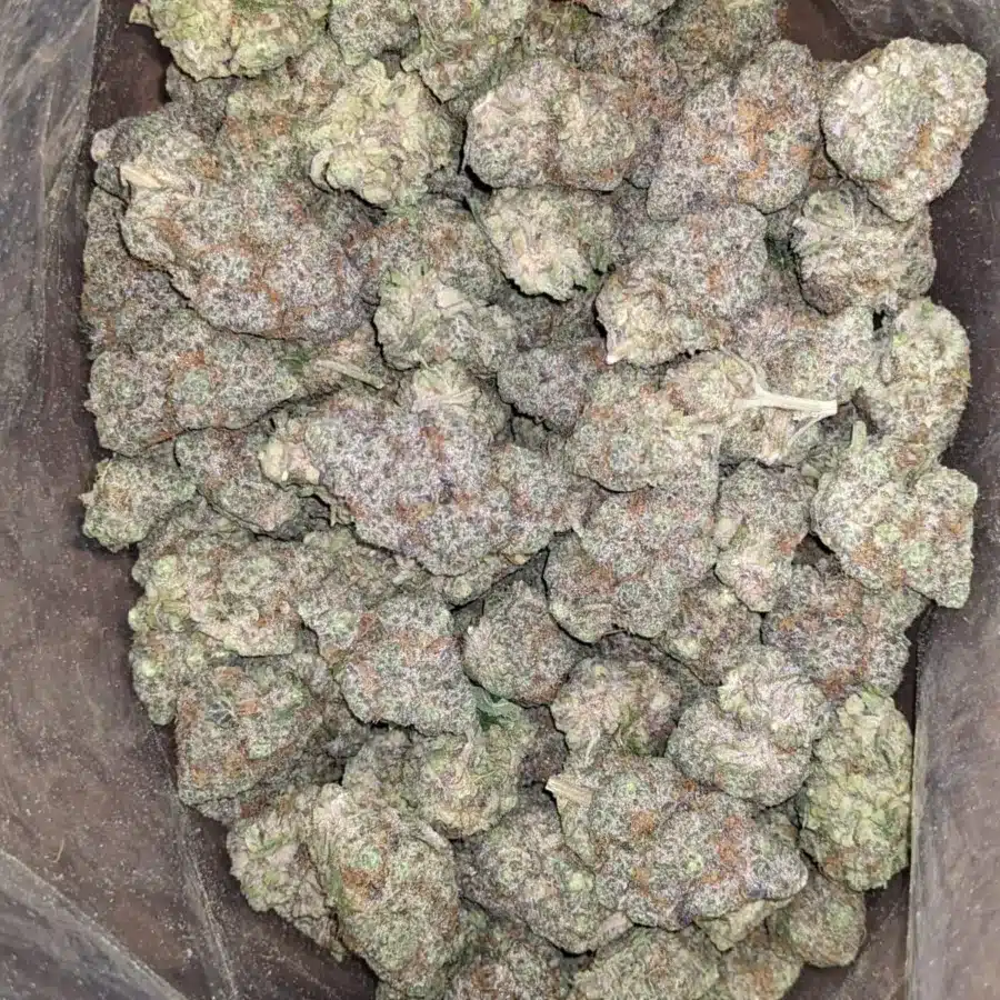 Triple berry 3 I Triple Berry