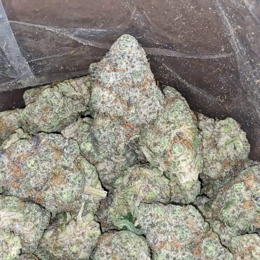 Triple berry 4 I Triple Berry
