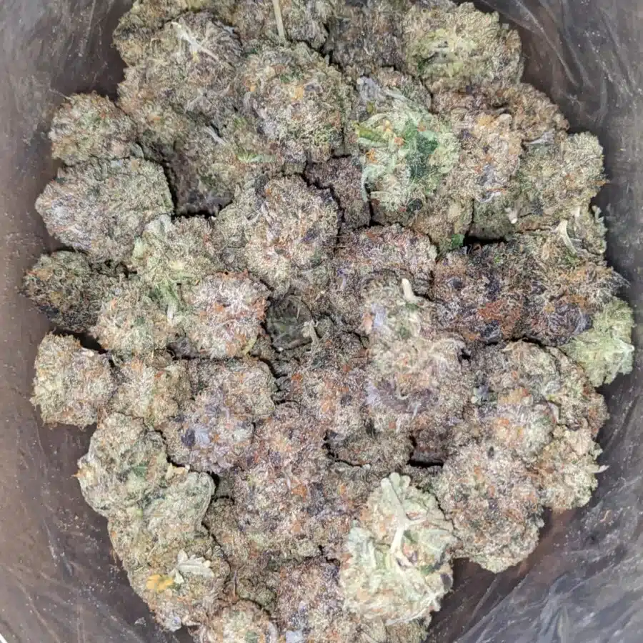 Tuna Kush AAA 1 1 I Tuna Kush AAA