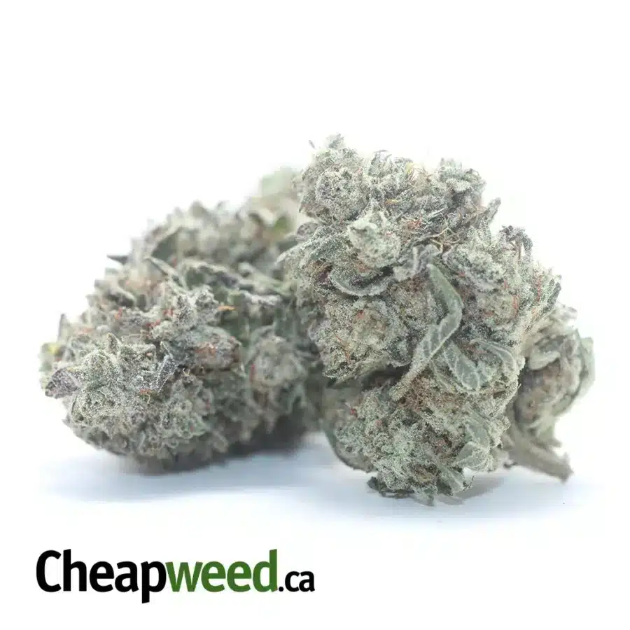 WIDOW BERRY 1 I $ 47 Oz - Widow Berry