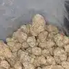 $ 40 Oz - Columbian Gold