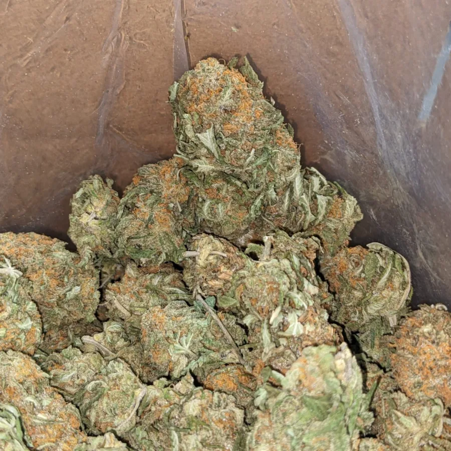 $45 Oz - Blue Heron - Image 5