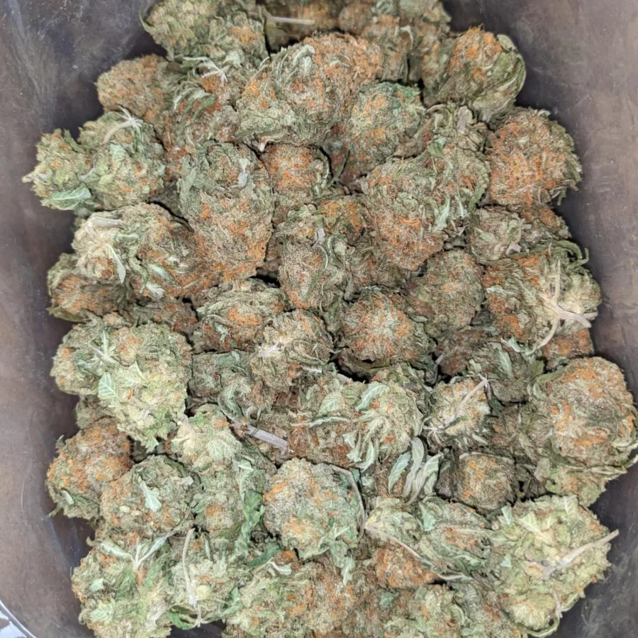 $45 Oz - Blue Heron - Image 4