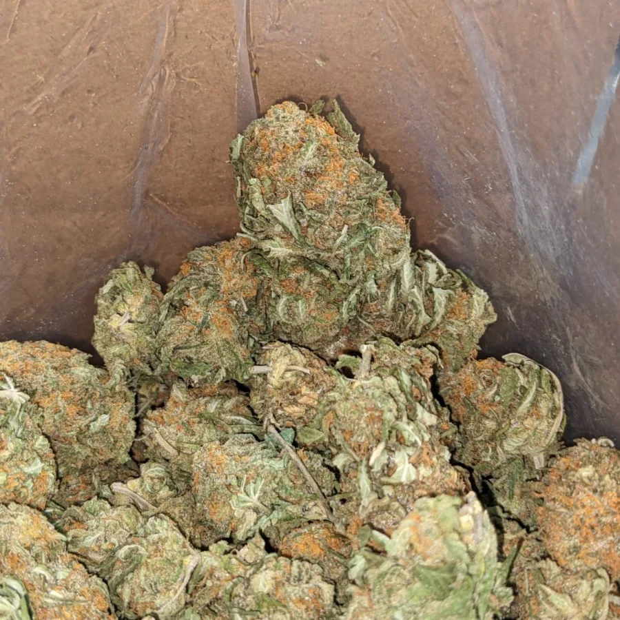 $45 Oz - Blue Heron - Image 7