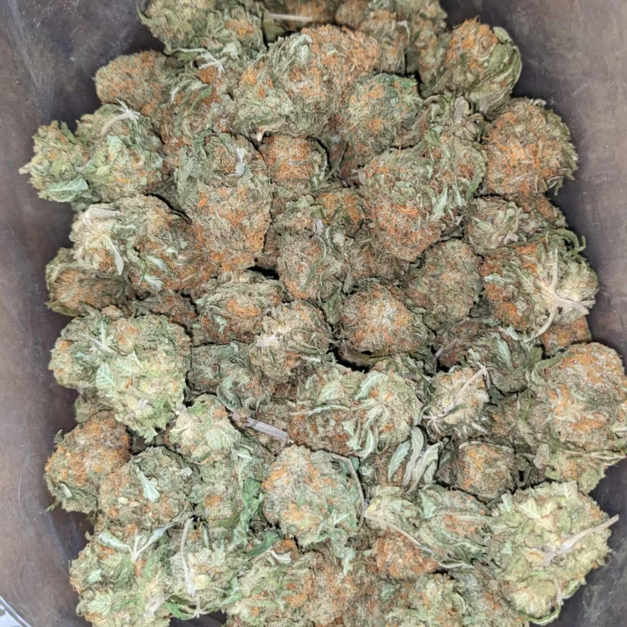 $45 Oz - Blue Heron - Image 6
