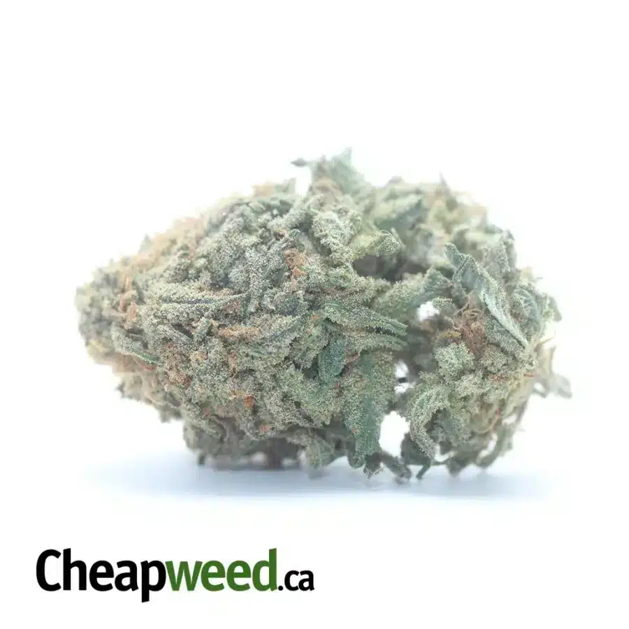 Alaskan ThunderFuck - *Deal Of The Day*