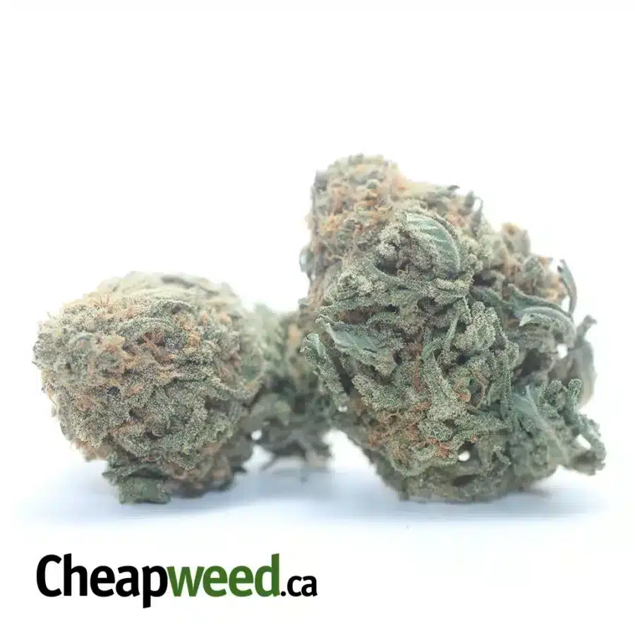 Alternative view of Alaskan ThunderFuck - *Deal Of The Day*