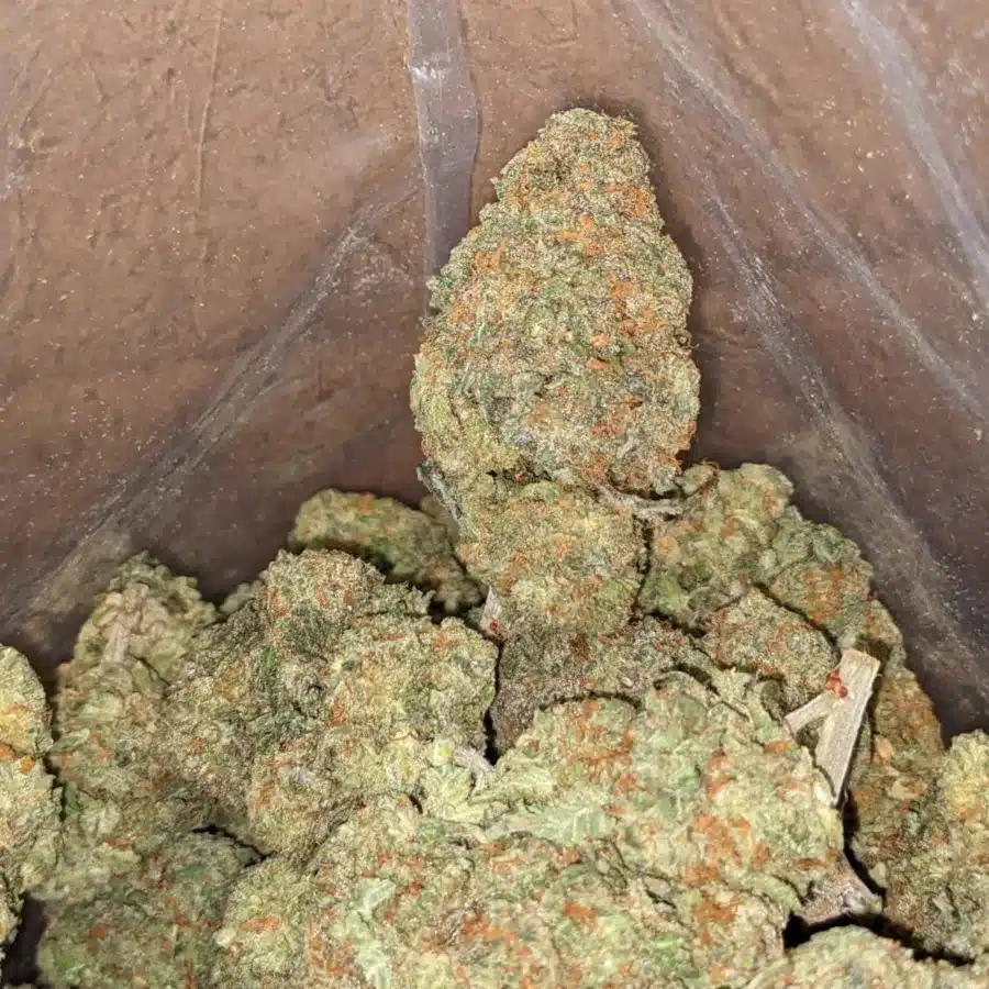 Alternative view of Alaskan ThunderFuck