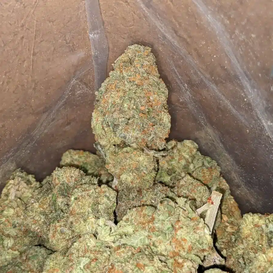 Alaskan Thunderfuck 3 I Alaskan ThunderFuck