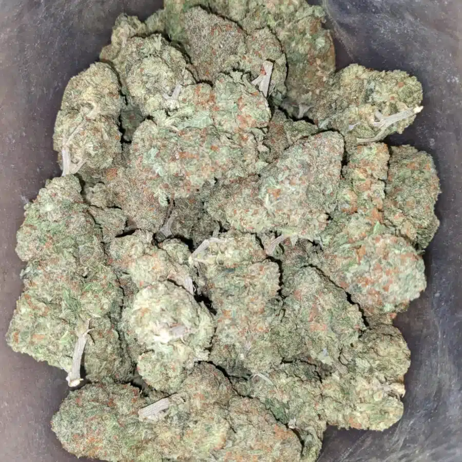 Alaskan ThunderFuck