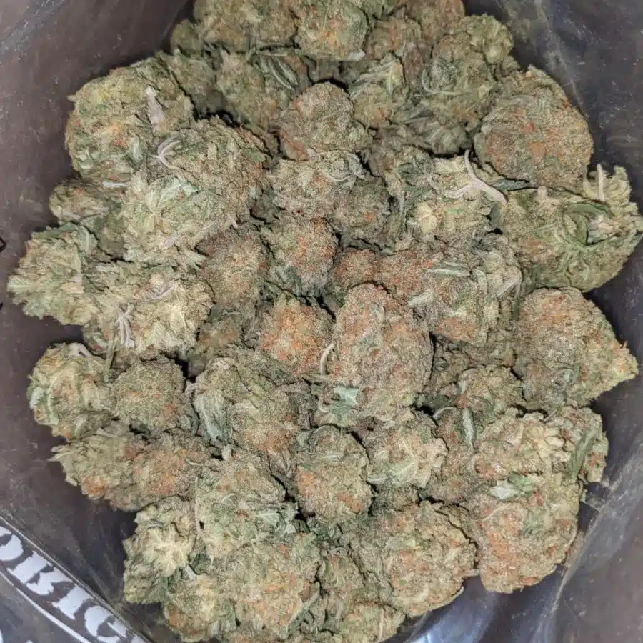Alaskan Thunderfuck Deal of the day 1 I Alaskan ThunderFuck - *Deal Of The Day*
