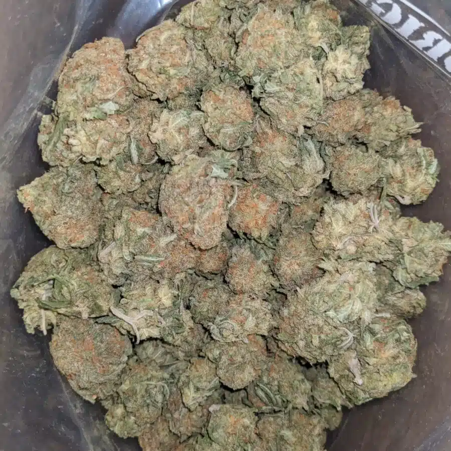 Alaskan ThunderFuck - *Deal Of The Day*