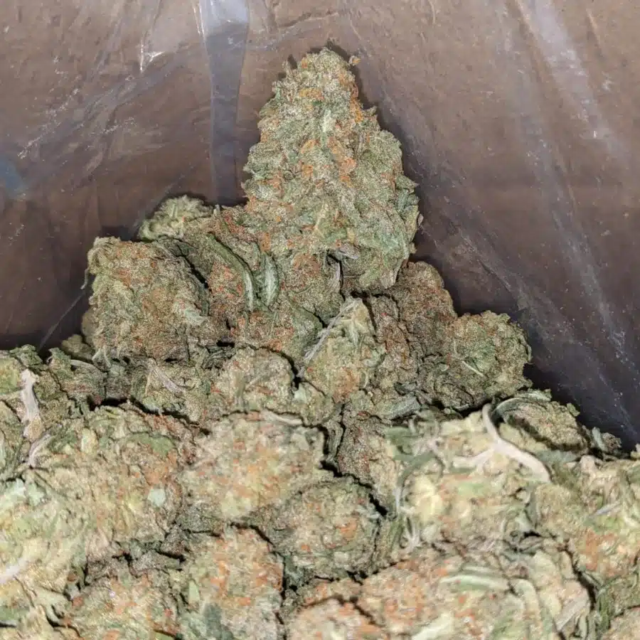 Alternative view of Alaskan ThunderFuck - *Deal Of The Day*