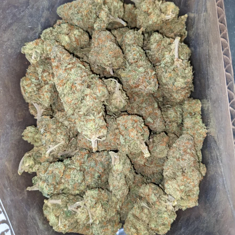Animal Cookies - Image 5