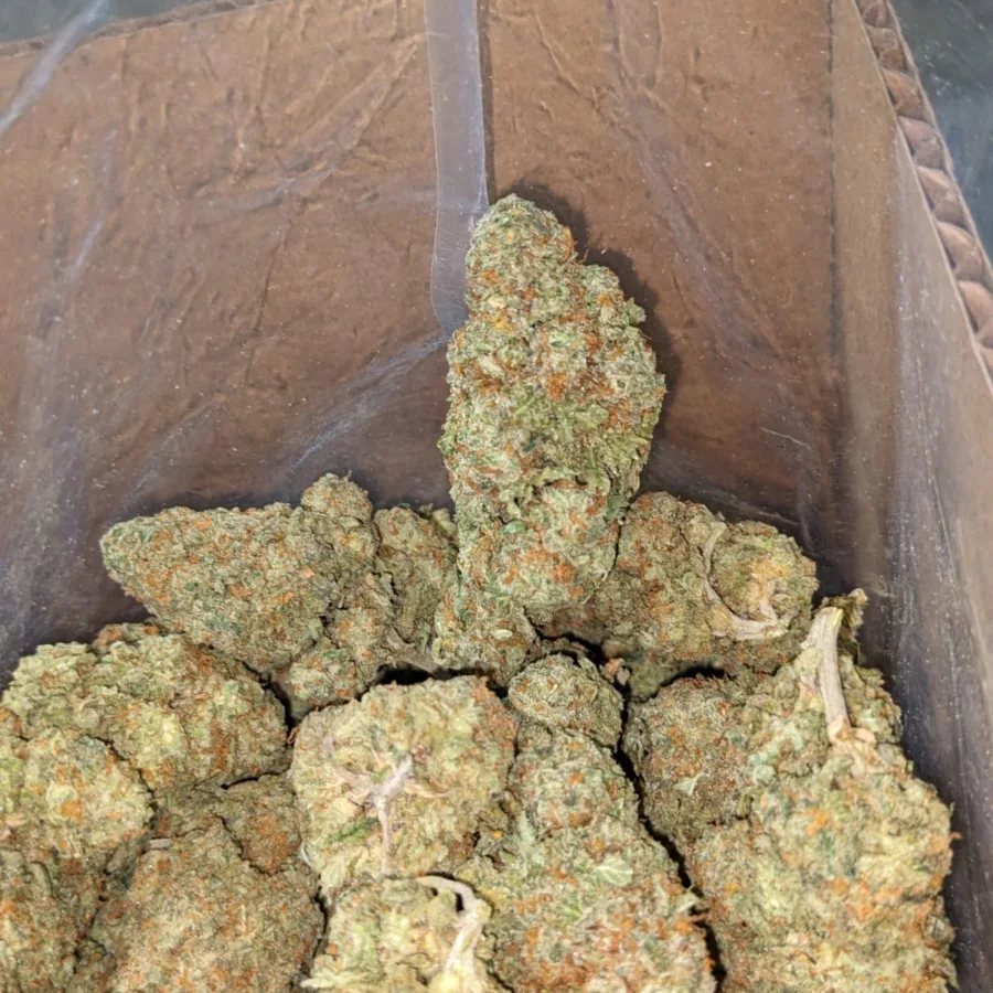 Animal Cookies - Image 7
