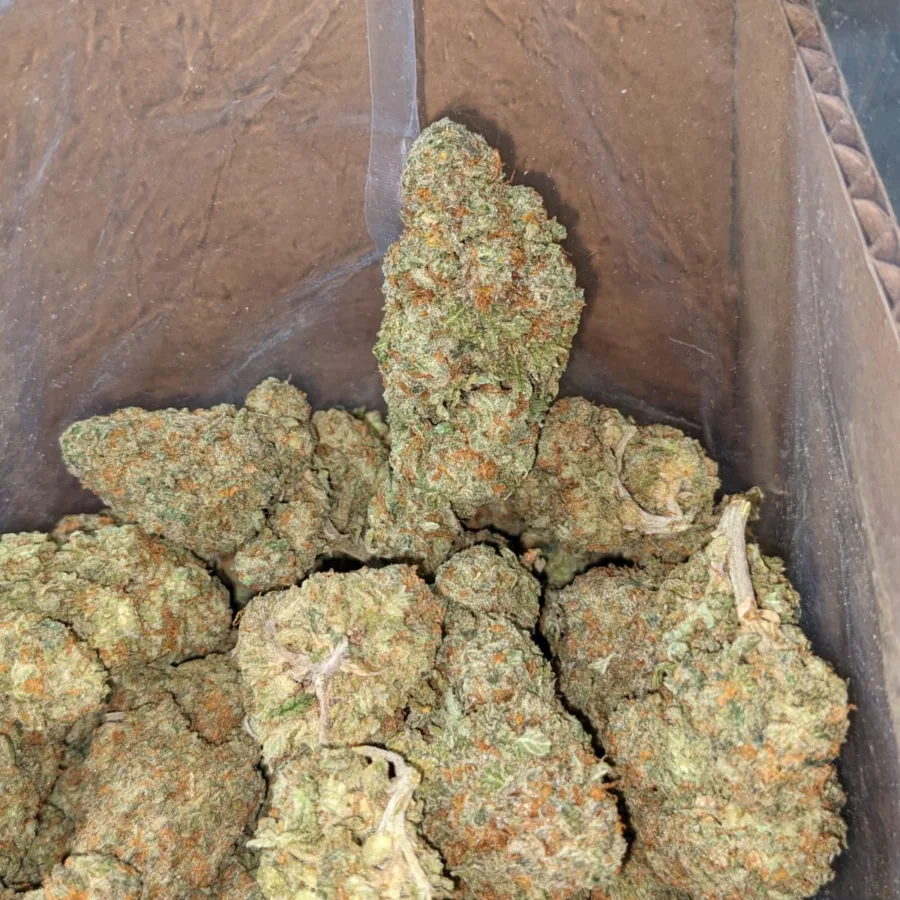 Animal Cookies - Image 6