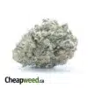 Cherry Pie