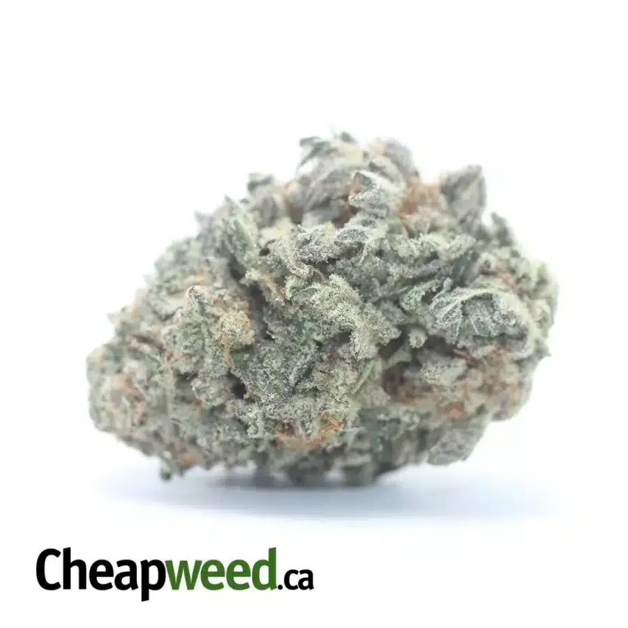 Cherry Pie
