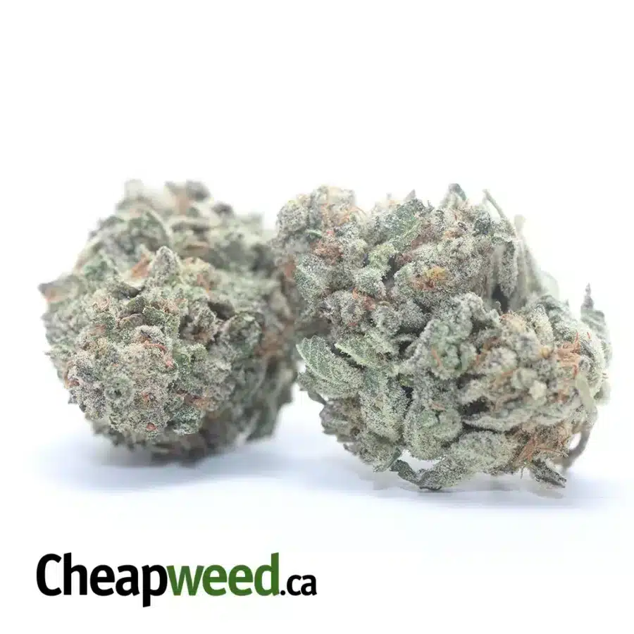 Alternative view of Cherry Pie