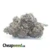 Blueberry