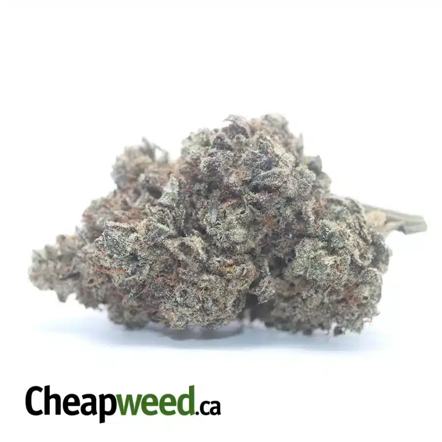 Blueberry