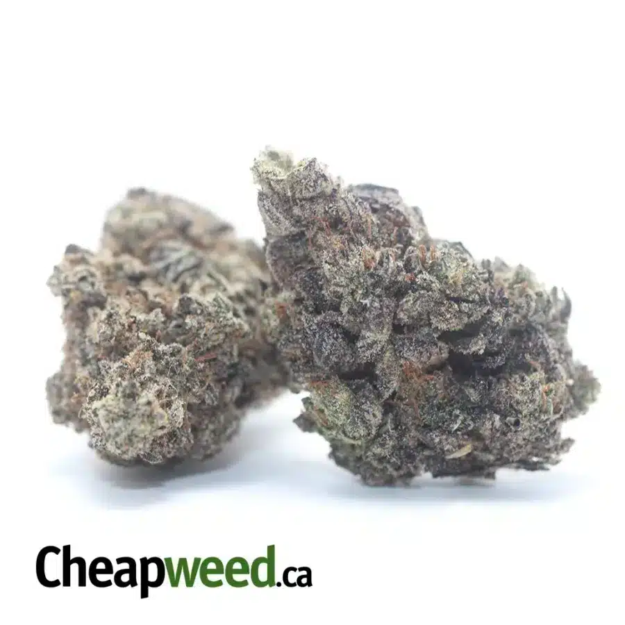Alternative view of Blueberry
