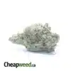 Boston Cream (Smalls)
