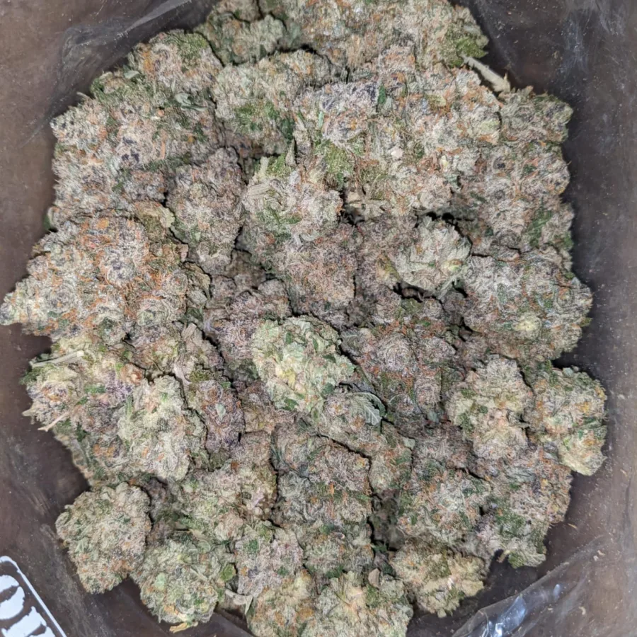 Blueberry